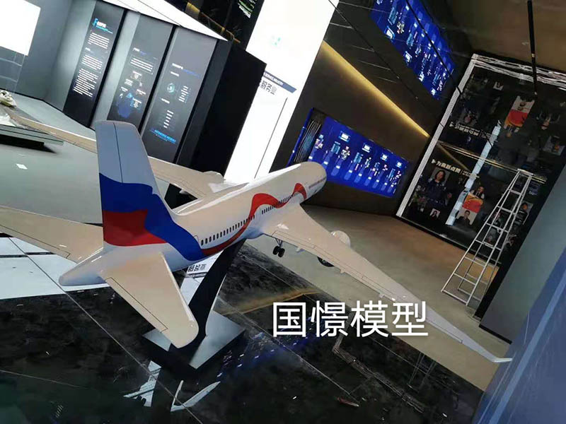子洲县飞机模型